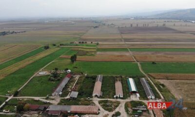 59 de tineri fermieri din alba au primit în conturi