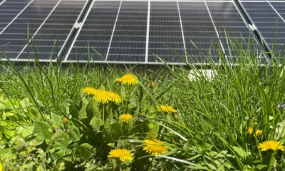 casa verde fotovoltaice 2024: data înscrierii în program pentru fiecare