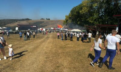 ”coborâtul oilor de la loman”: festival pastoral cu expoziție de