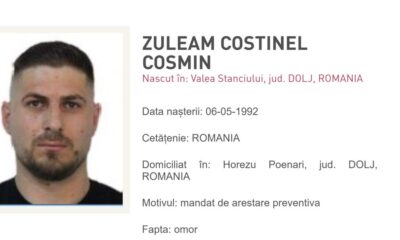 dosarul crimei din sibiu care se judecă la alba: cum