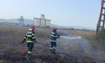 foto: incendiu de vegetație la alba iulia, în zona bărăbanț.