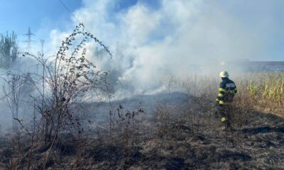 foto: incendiu de vegetație în zona șoselei de centură a