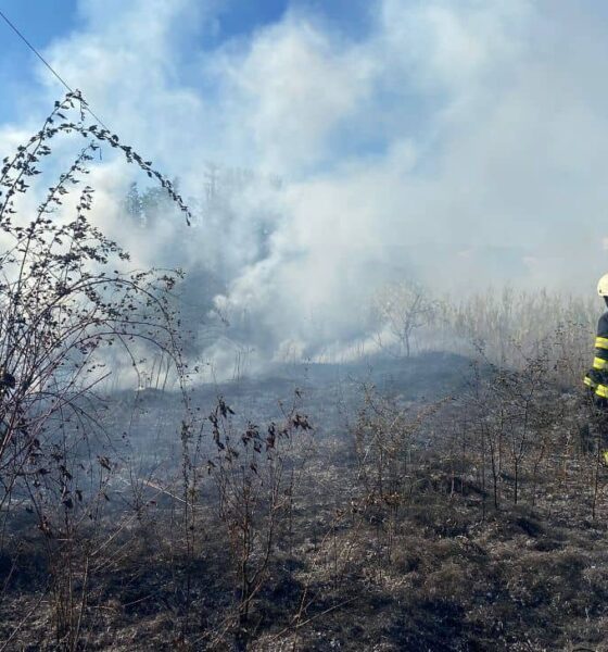 foto: incendiu de vegetație în zona șoselei de centură a