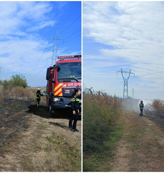 foto: incendiu de vegetație, în zona șoselei de centură din