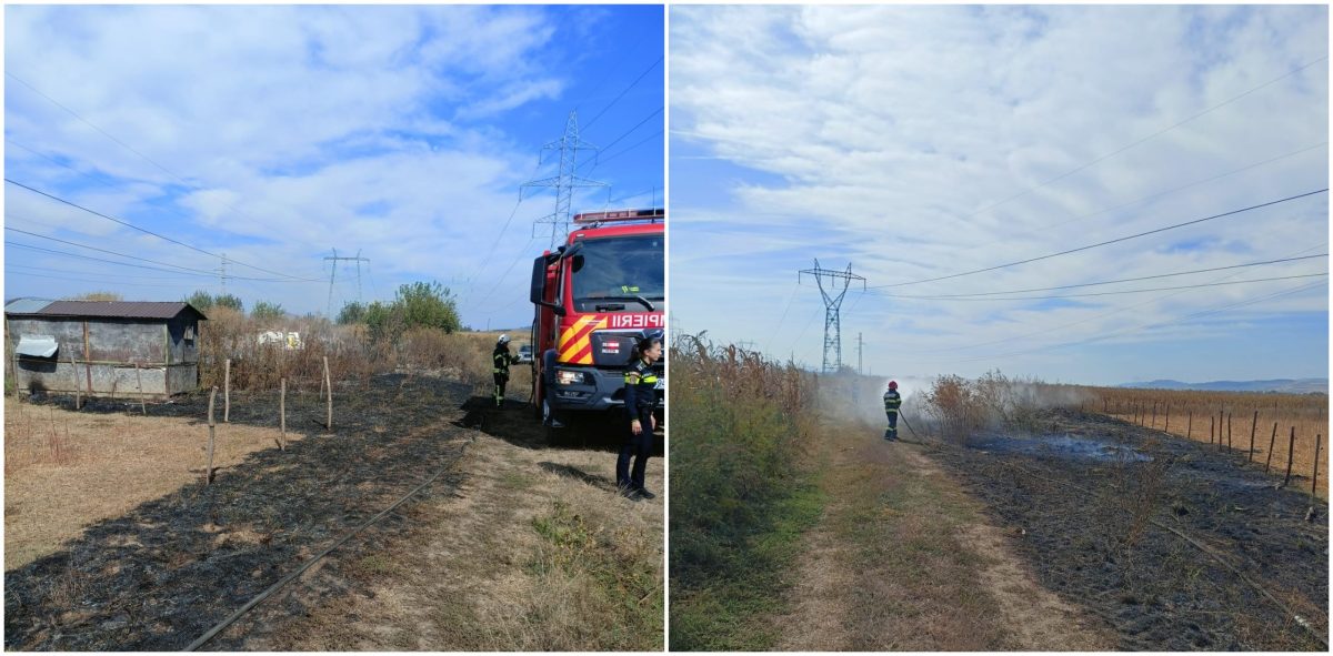 foto: incendiu de vegetație, în zona șoselei de centură din