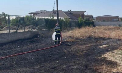 foto update: incendiu de vegetație pe o stradă din sebeș.