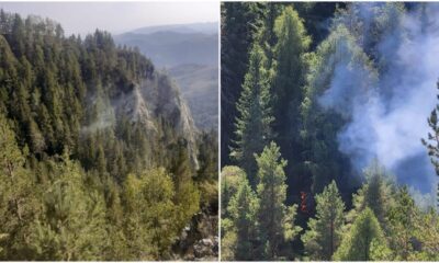 foto video: incendiu de litieră de pădure în comuna poșaga, în