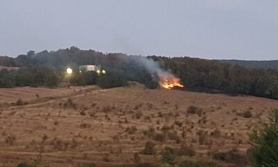 foto video: incendiu de pădure izbucnit în alba iulia, la