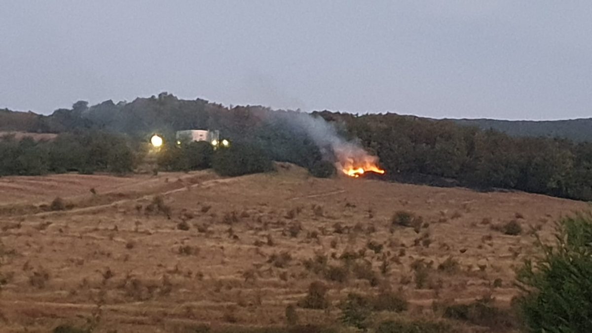 foto video: incendiu de pădure izbucnit în alba iulia, la