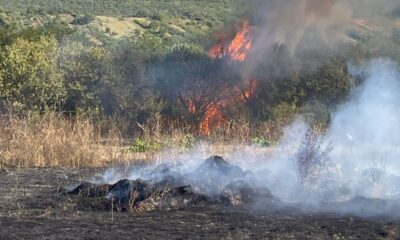 foto video: incendiu pe șase hectare de teren la răhău. intervin