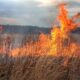 incendiu în comuna lopadea nouă. focul a cuprins două hectare