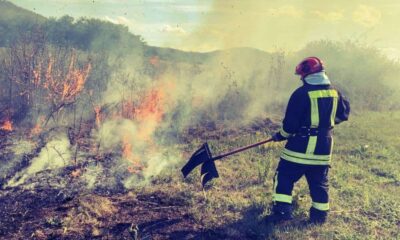 incendiu de vegetație în satul ampoiția. intervin pompierii din alba