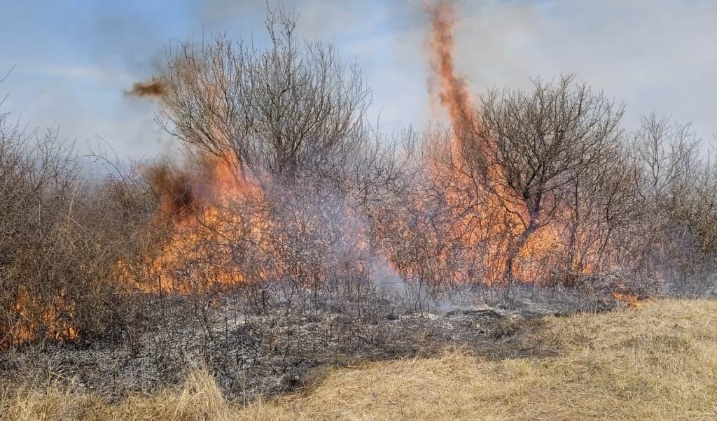 incendiu de vegetație la ocna mureș. pompierii din aiud intervin