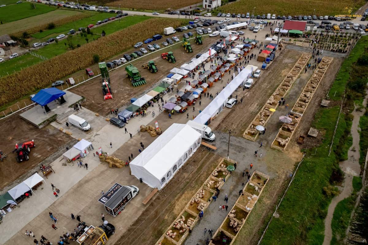 târgul apulum agraria 2024 la ighiu în weekend: prezentare de