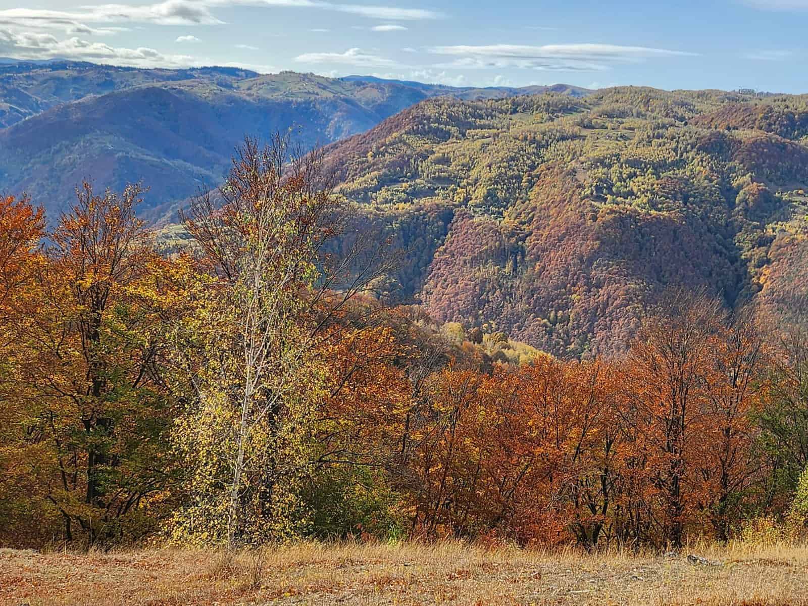 vremea până în 14 octombrie. temperaturi în creștere, perioade cu