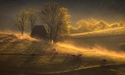 o fotografie care suprinde un peisaj natural din județul alba