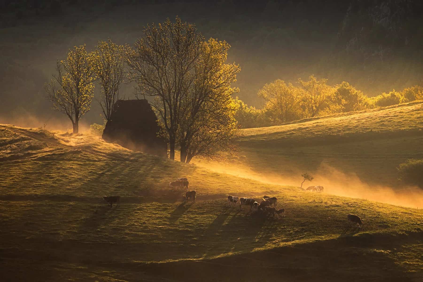 o fotografie care suprinde un peisaj natural din județul alba