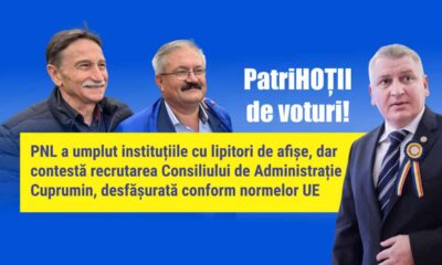 psd alba: pnl a umplut instituțiile cu lipitori de afișe,