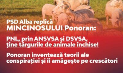 psd alba replică mincinosului ponoran: pnl, ține târgurile de animale