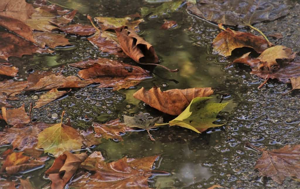 prognoza meteo pentru săptămâna 14 20 octombrie. meteorologii anunță o răcire