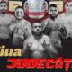 regal de kickbox la alba iulia: printre cei mai cunoscuți