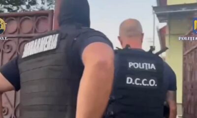 video: 15 traficanți de migranți, condamnați de tribunalul alba. metoda