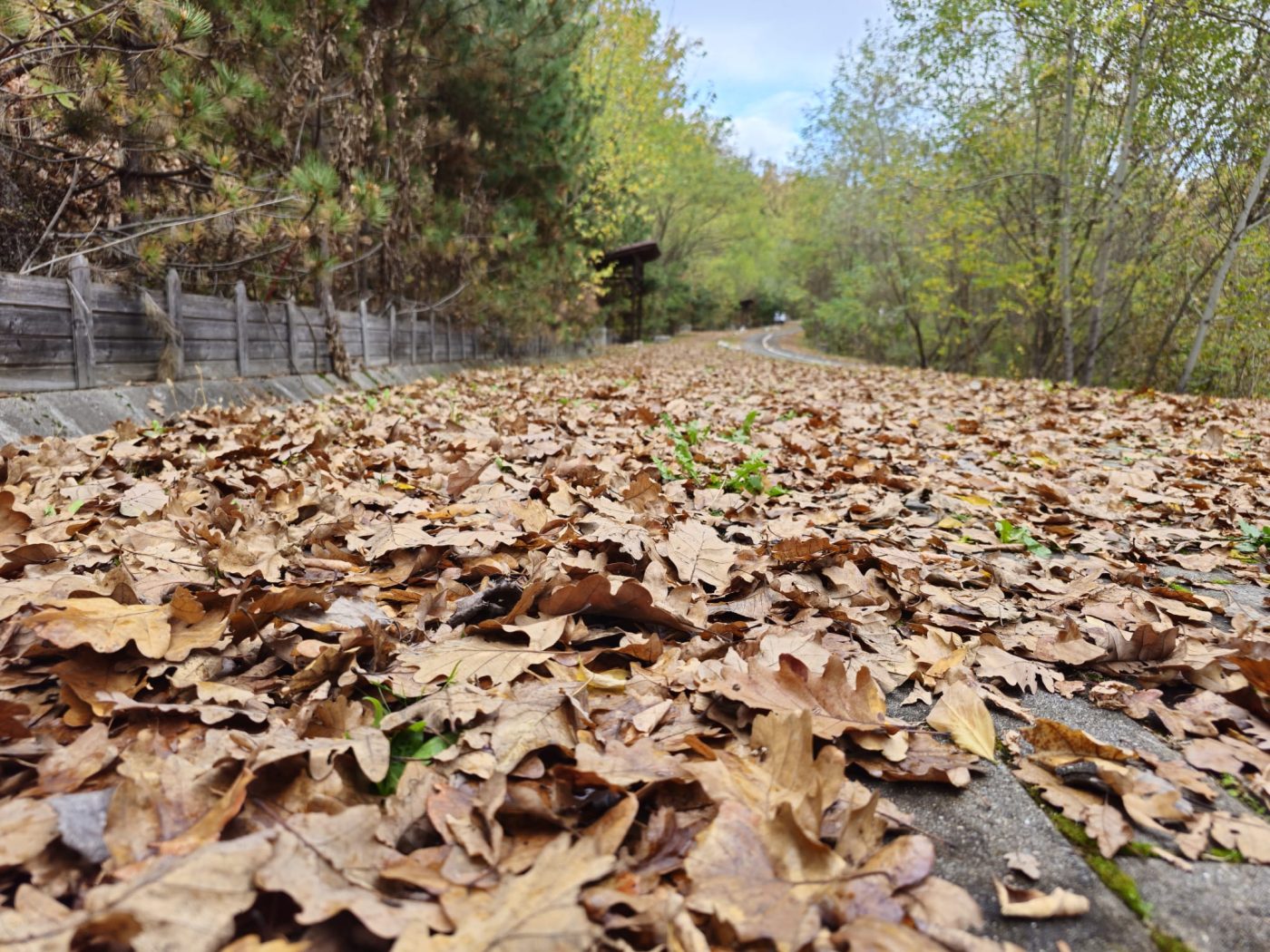 vremea până în 11 noiembrie. temperaturile scad, ploi puține în