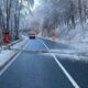 foto: arbore doborât de vânt pe dn 74a, între abrud