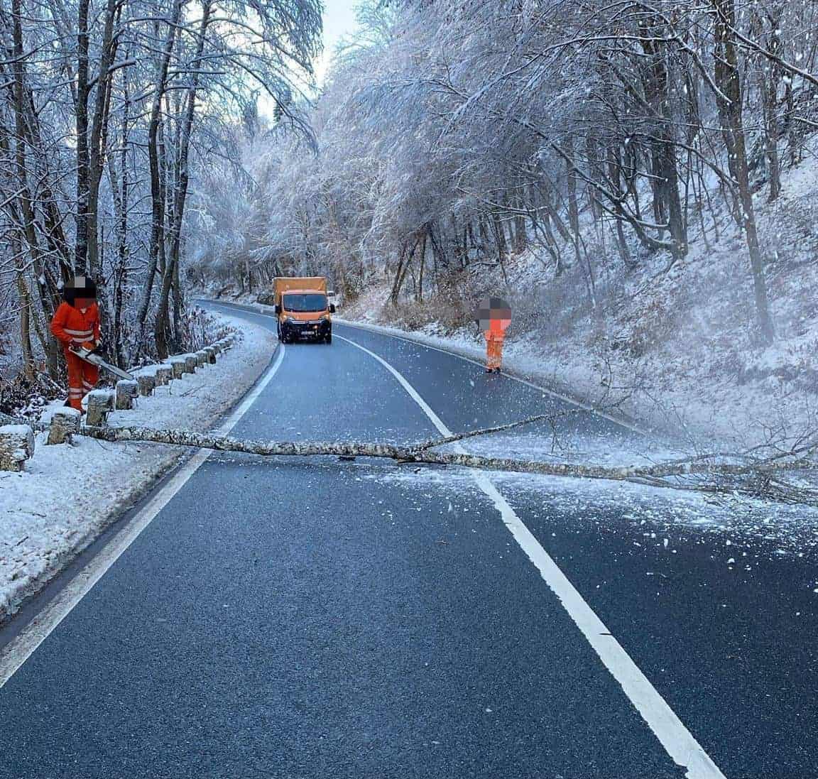 foto: arbore doborât de vânt pe dn 74a, între abrud