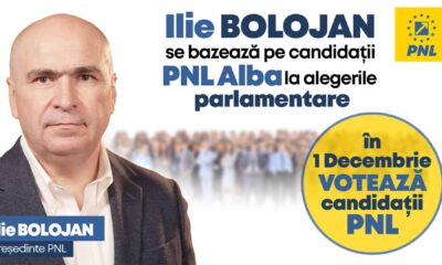 ilie bolojan: votați oameni care au demonstrat că profesionalismul schimbă