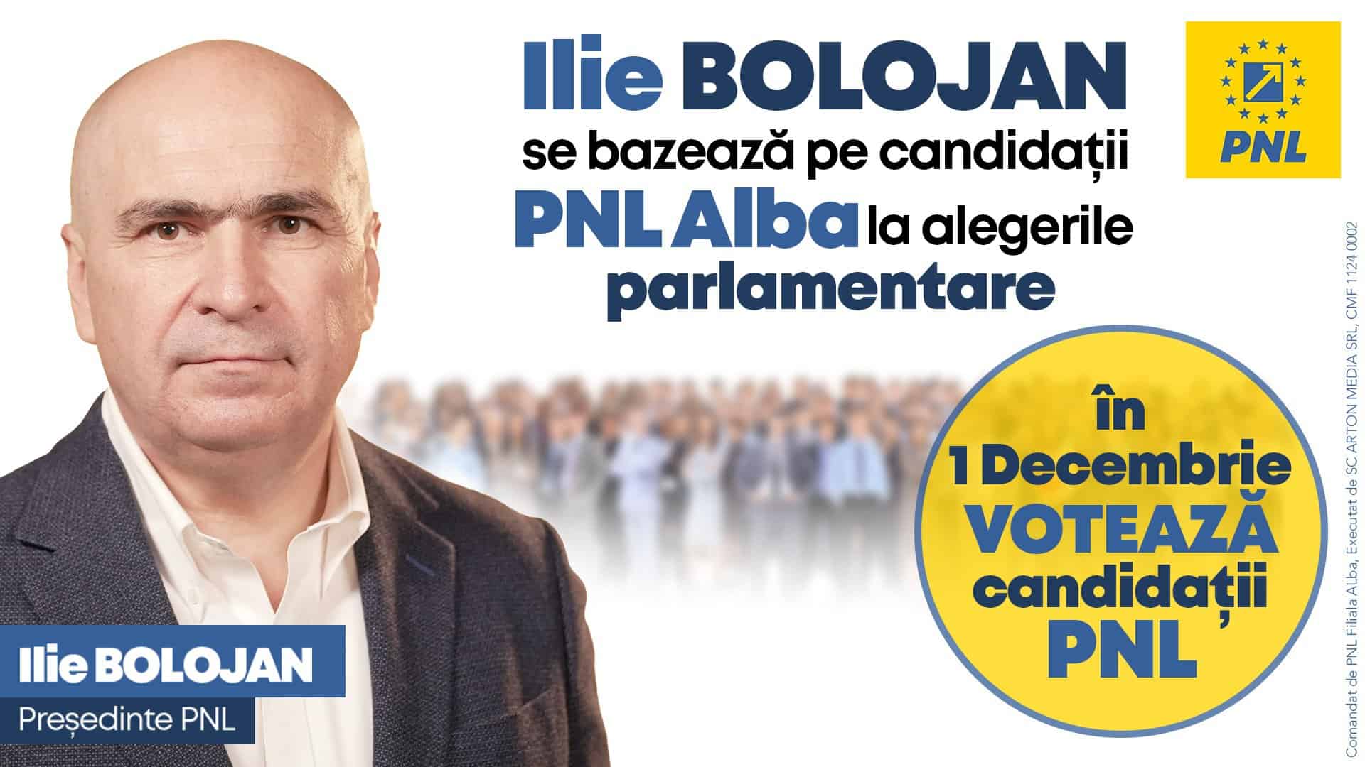 ilie bolojan: votați oameni care au demonstrat că profesionalismul schimbă