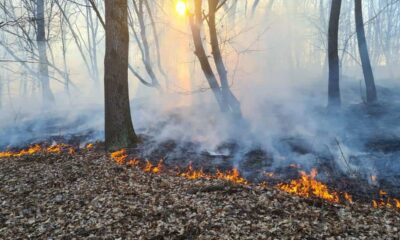 incendiu de pădure lângă zlatna. intervin pompierii din alba iulia,