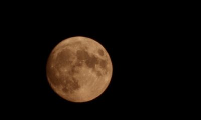 luna castorului, vizibilă la sfârșitul săptămânii. ultima super lună a anului