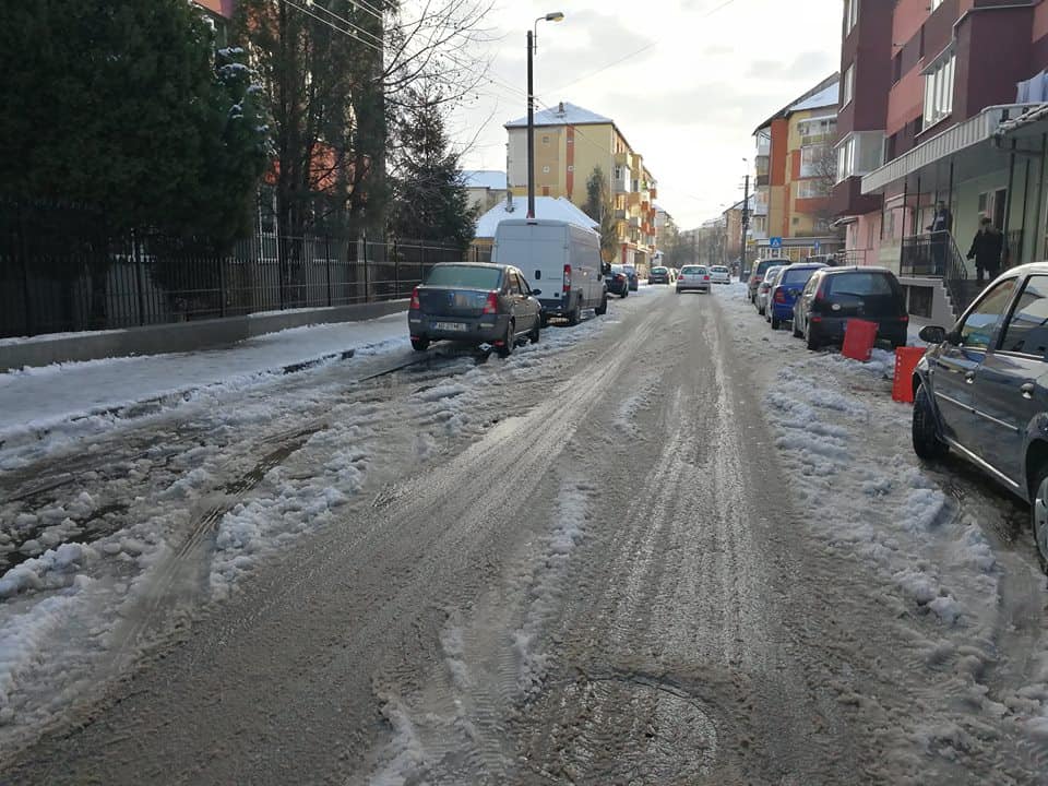 serviciul de salubrizare și deszăpezire a municipiului alba iulia va