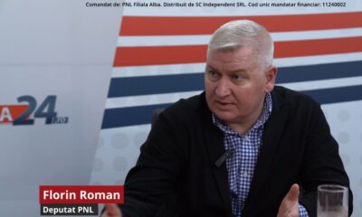 video deputatul pnl de alba, florin roman: despre campania electorală