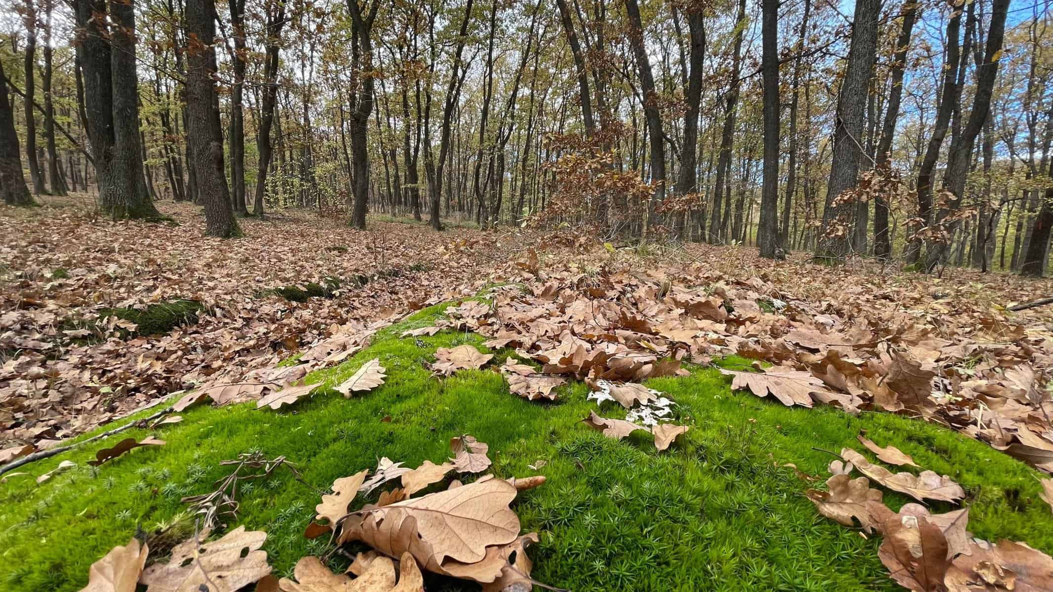 vremea în transilvania și în țară până în 17 noiembrie: