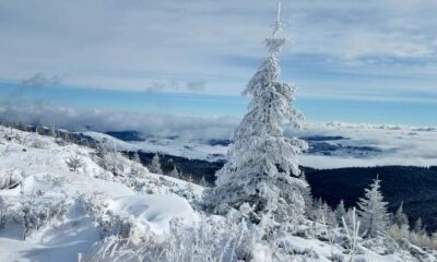 vremea în decembrie. condiții meteo până de revelion 2024 2025. când