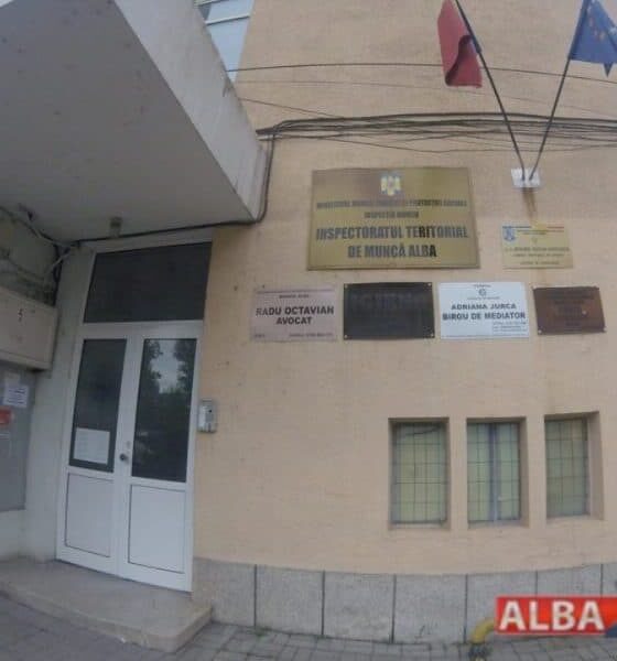 ce au descoperit inspectorii itm alba, în urma unor controale