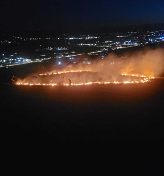 foto video: incendiu de vegetație la ieșirea din alba iulia spre