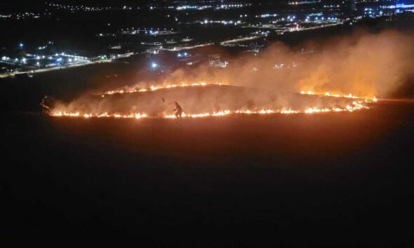 foto video: incendiu de vegetație la ieșirea din alba iulia spre