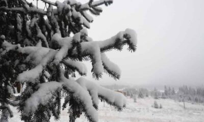 vremea în transilvania și în țară până în 15 decembrie.