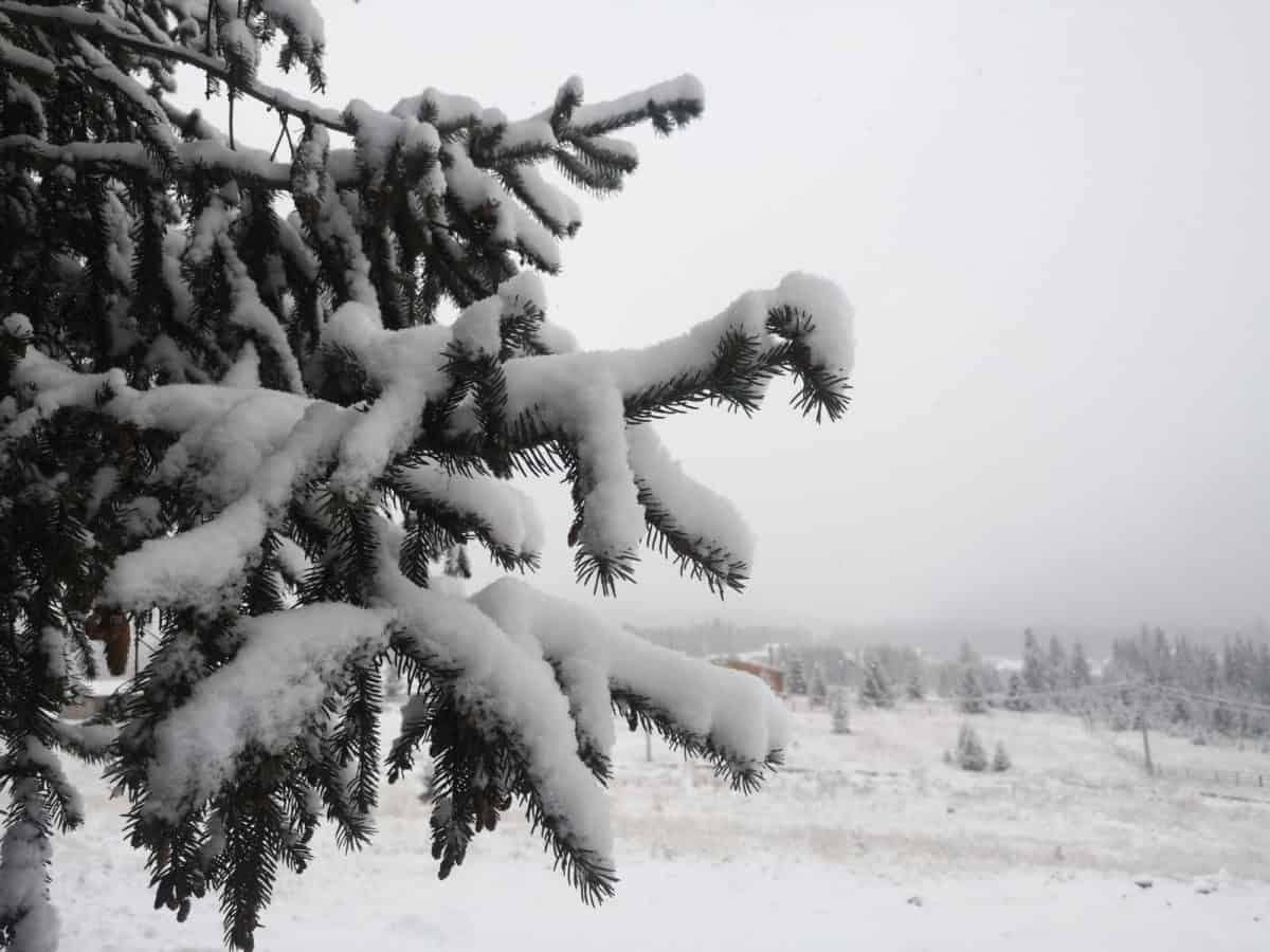 vremea în transilvania și în țară până în 15 decembrie.