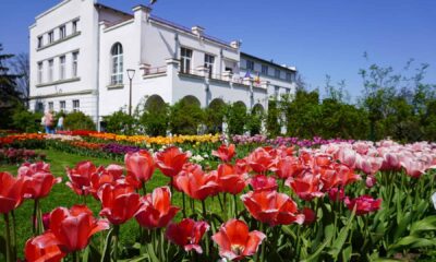 gradina botanica al. borza.jpg