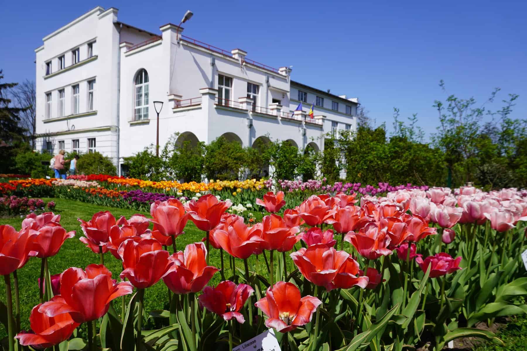 gradina botanica al. borza.jpg