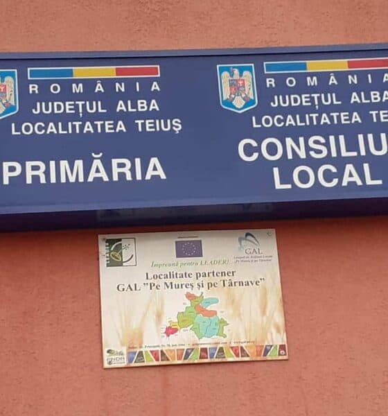 primarul din teiuș a vrut să construiască la căpud o