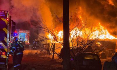 update foto video: incendiu în cartierul partoș din alba iulia. focul