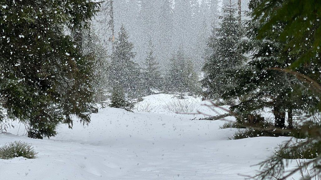 vremea în alba în weekend, 3 5 ianuarie. temperaturi minime de