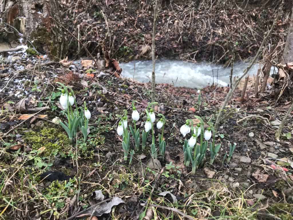 vremea până în 24 februarie. precipitații puține, temperaturi mai mari