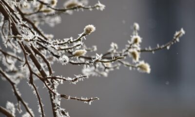 vremea în românia până la jumătatea lunii februarie: când scăpăm