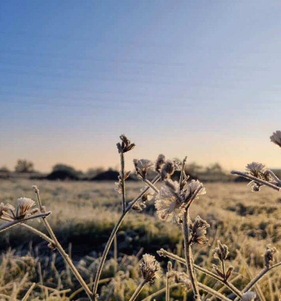 vremea până în 3 februarie. când va fi cel mai